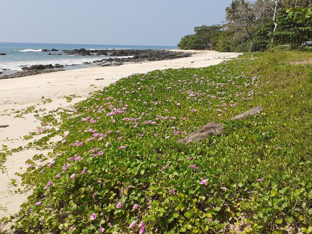 Lanta Daisy Residence Ko Lanta エクステリア 写真