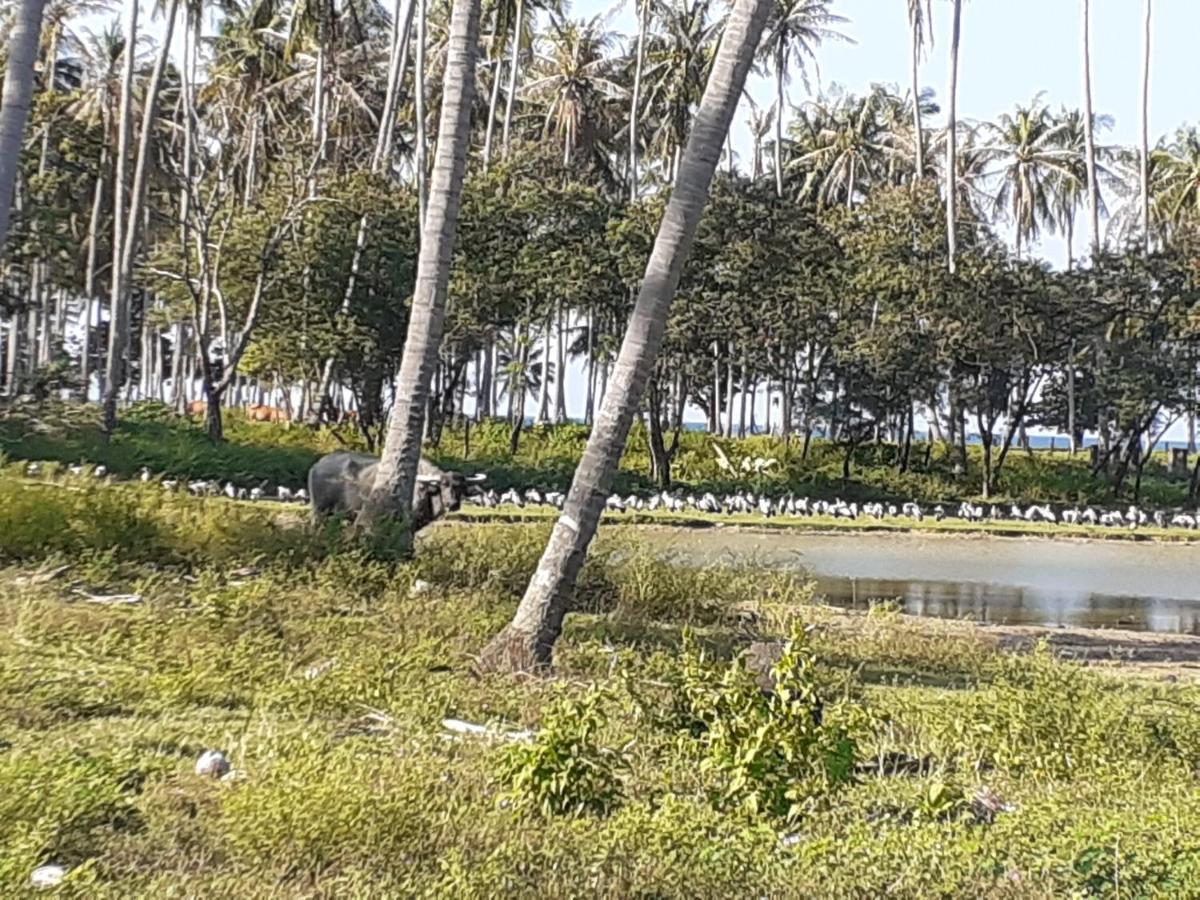 Lanta Daisy Residence Ko Lanta エクステリア 写真